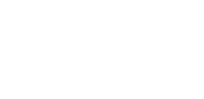 Logo Otimizada