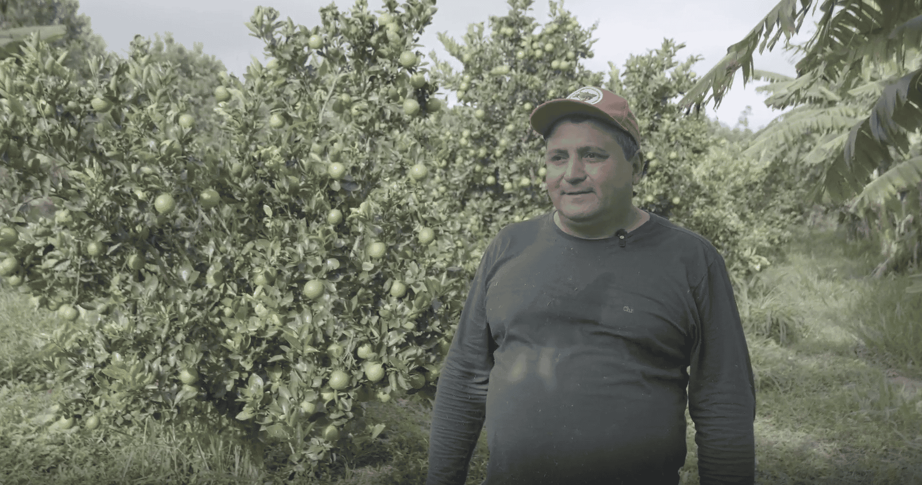 Sem título Calendário Biodinâmico