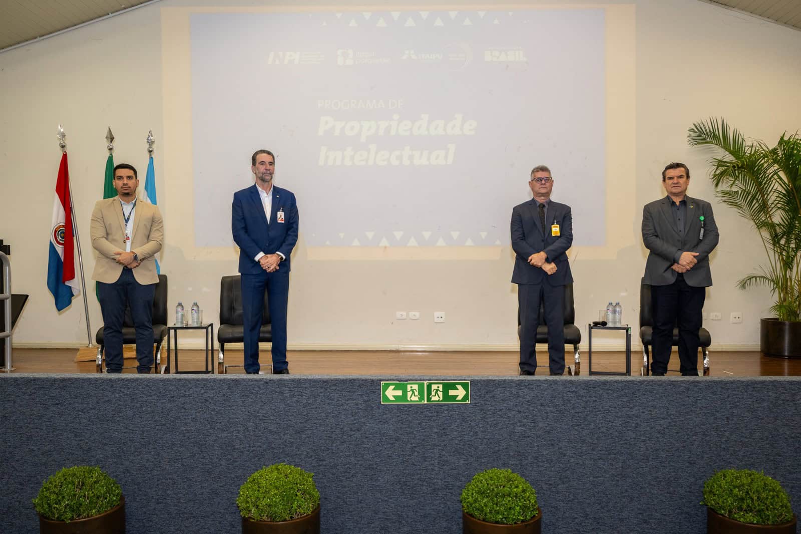 Programa de Propriedade Intelectual