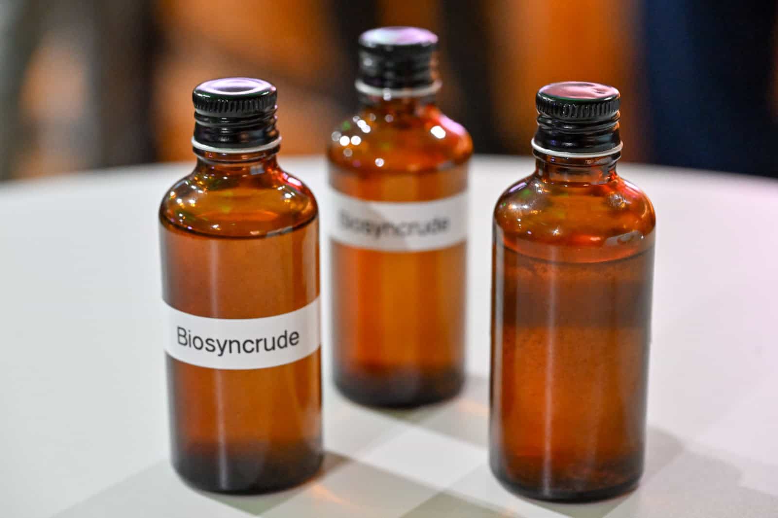 WhatsApp Image 2025 11 15 at 10.21.44