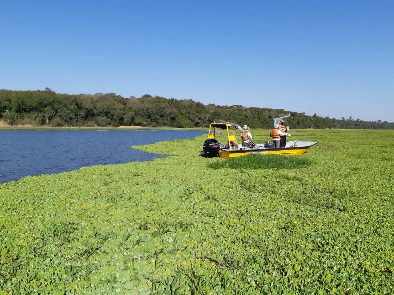 nit nucleo inteligencia territorial itaipu parquetec