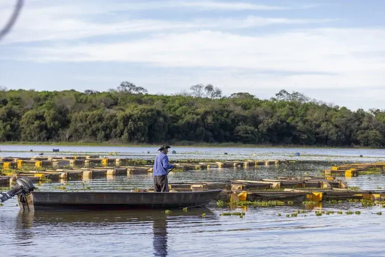 vida na agua itaipu parquetec